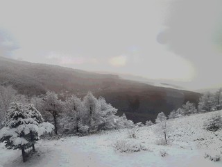 ホテルからの雪景色