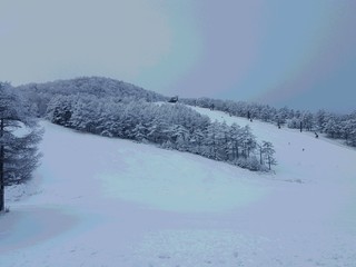 スキー場の雪景色
