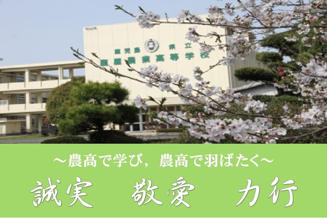 トップ校舎 トップ校舎
