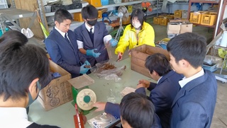 サツマイモの調整の様子