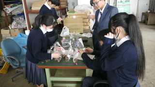 スメ体験で使用するスナップエンドウやサトイモを袋詰めする様子