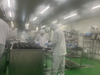 デュアルでの実習