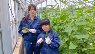 野菜