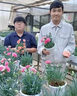 草花