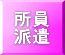 所員 派遣