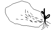 摜