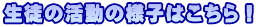 k̗̊lq͂I