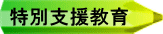 特別支援教育