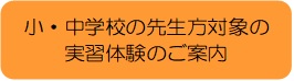 syouchuugakkou-bana