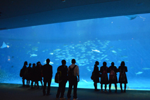 一日遠足(鹿児島水族館にて)