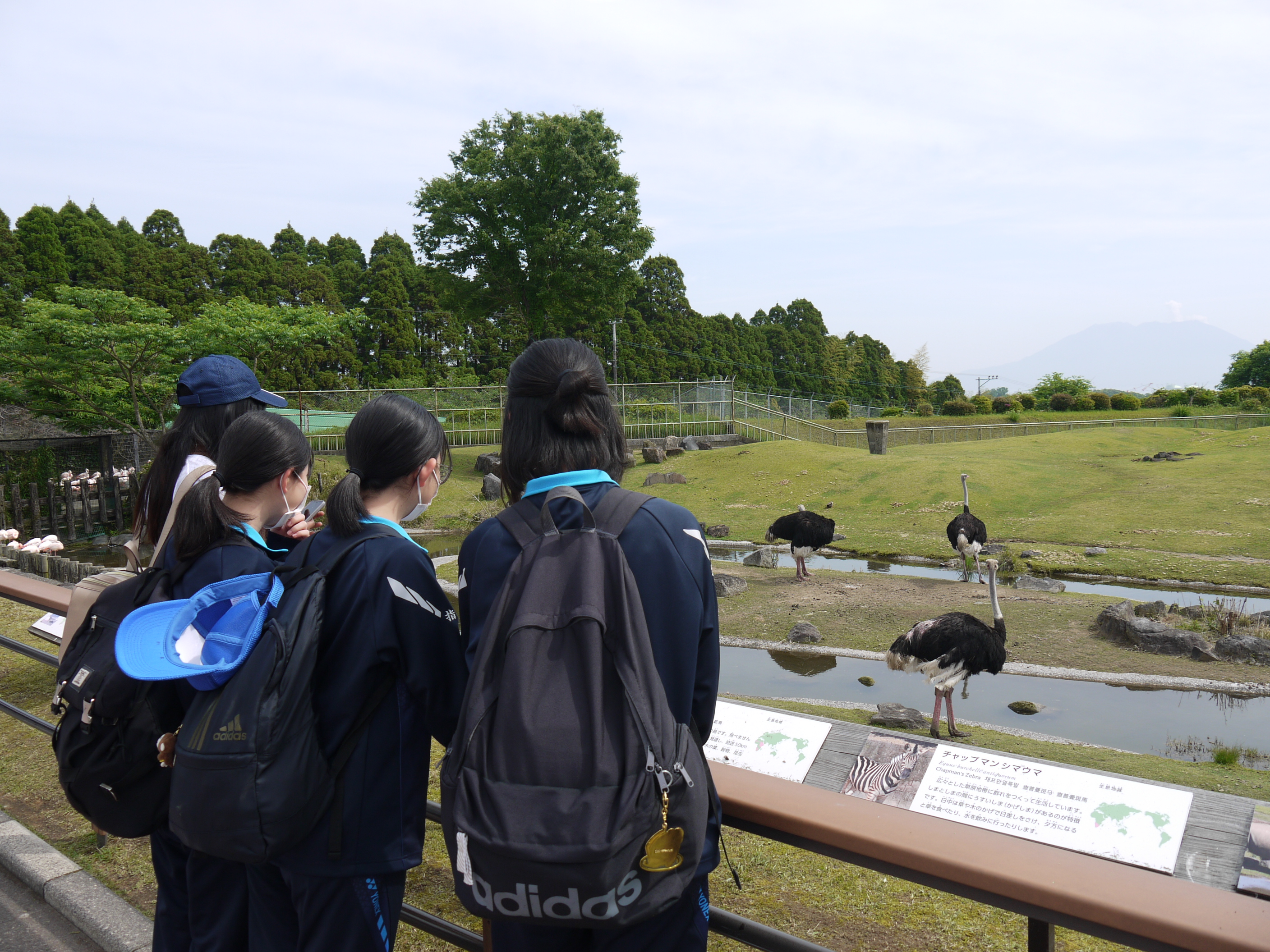 学年レクレーション (１)