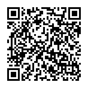QR_536218