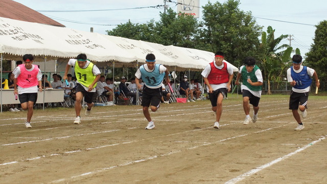 DSC06593
