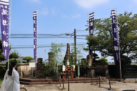 画像４