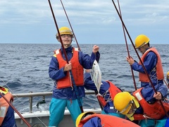 かつお一本釣り