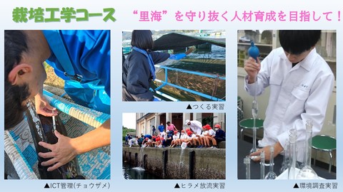 実習内容1