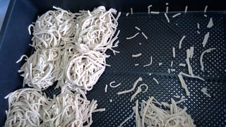 WIN_20251204_11_18_55_Pro WIN_20251204_11_18_55_Pro