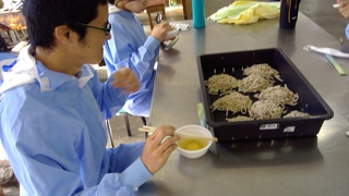 WIN_20251204_11_19_40_Pro WIN_20251204_11_19_40_Pro