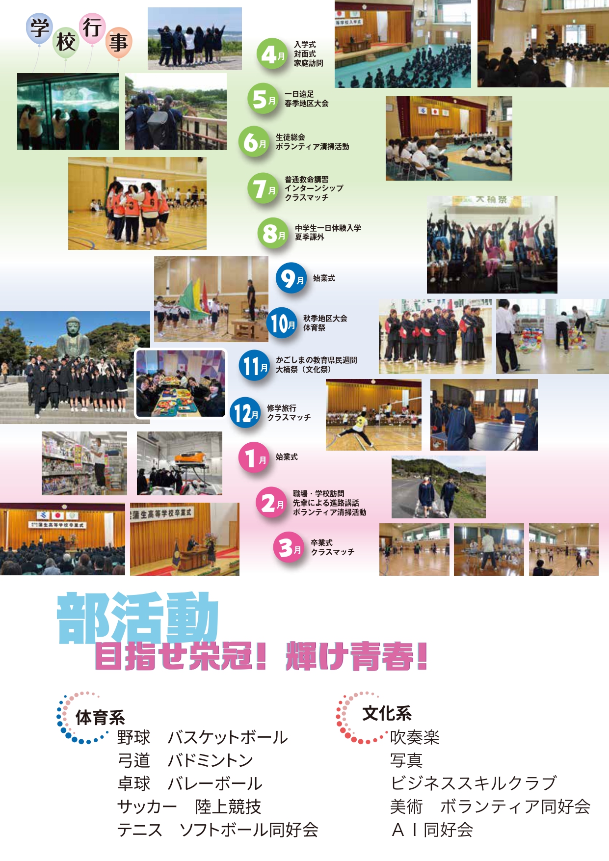学校案内パンフレット