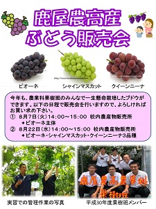 ブドウ販売会チラシH30 - コピー