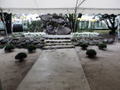 DSCN1487 DSCN1487