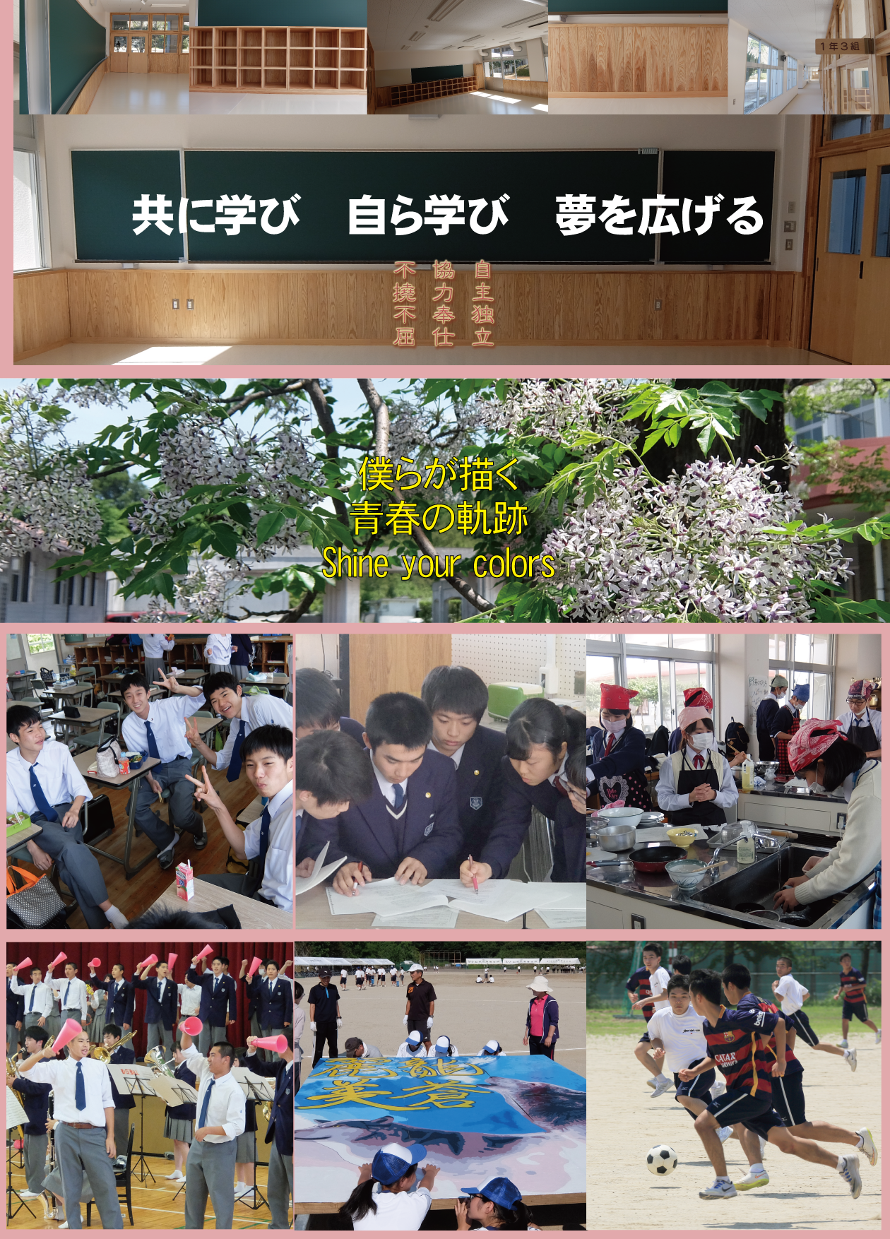 現在のあふちの木