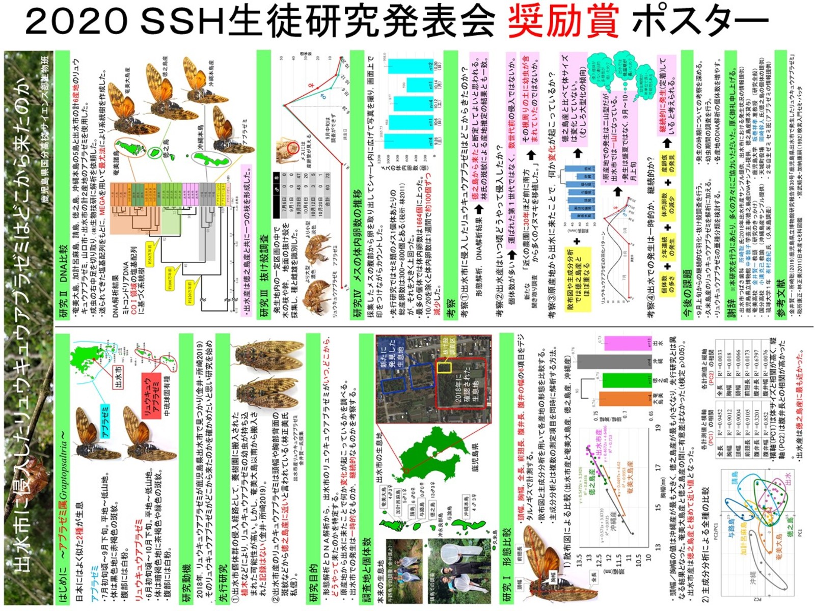 スライド10