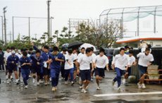 arukokai arukokai