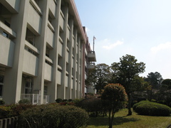 IMG_2252 IMG_2252