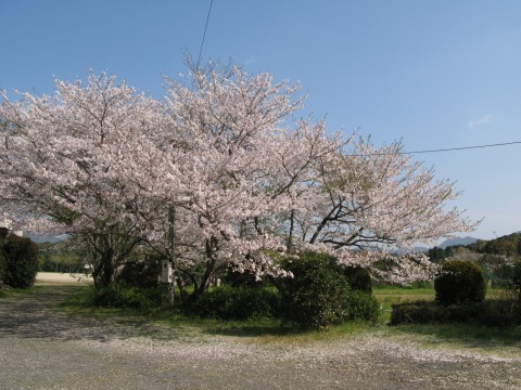 IMG_2264 IMG_2264