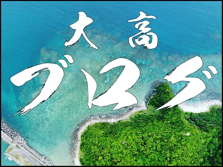 大高ブログ