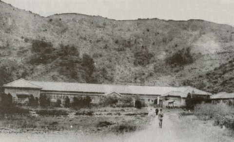 nogaku1900