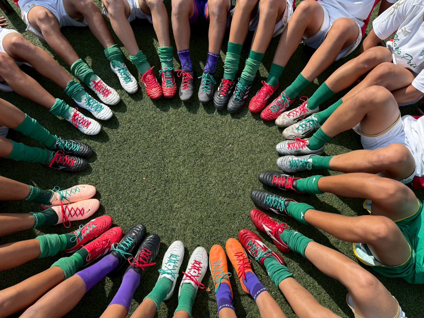 1000005276 1000005276