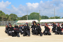 IMG_6742