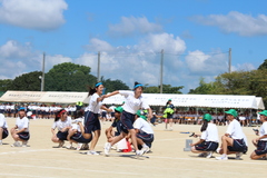 IMG_6959