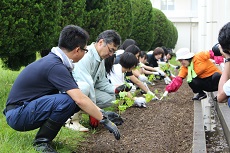 植え付け3