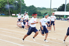 1 (4)