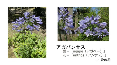 20250707_slide01