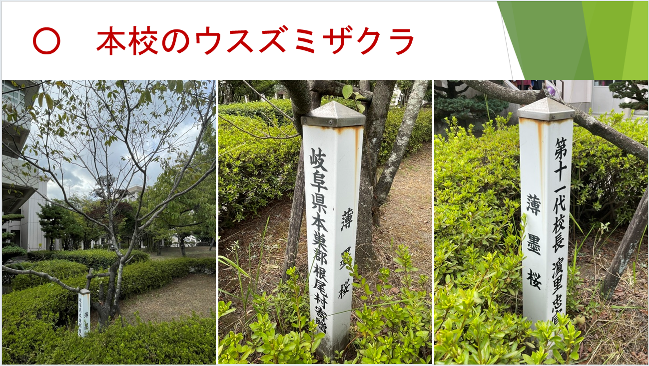 パワポ【機種依存文字】