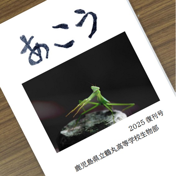 20251027_全校朝会5_あこう