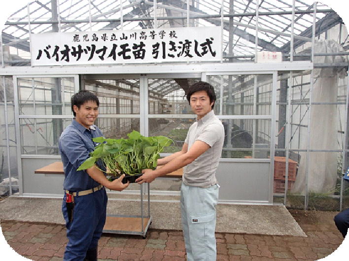 バイオサツマイモ苗引き渡し式