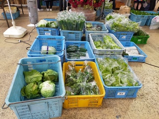 出荷された野菜類」