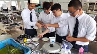 出来上がったアロエベラをプレーンヨーグルトの上にのせ試食している様子