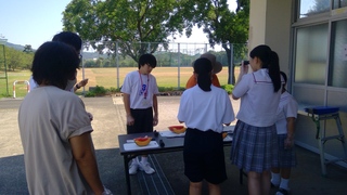 中学生体験入学 野菜の甘さを覗く講座