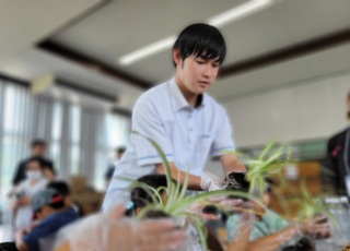 苔玉を一緒に作る様子