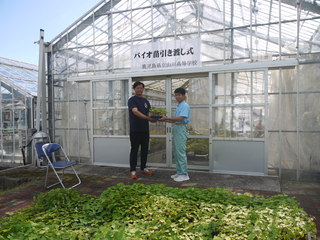バイオ苗引き渡し