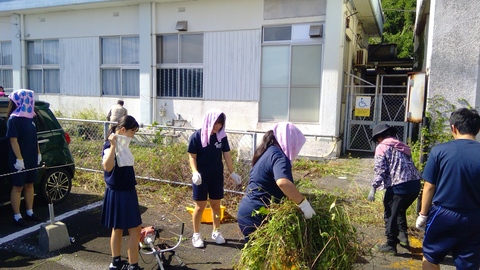 駅前の除草