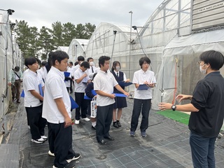 高槻電器トマト栽培の説明を聞く様子