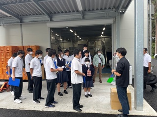 モリンガ製造工場