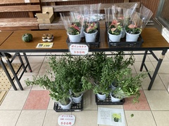 生産物販売２